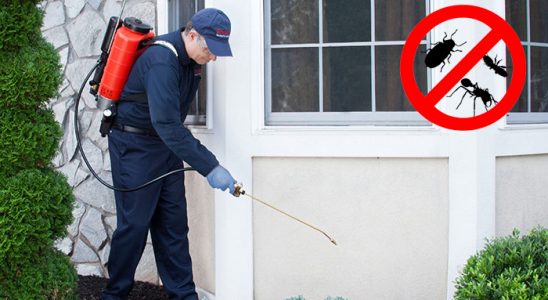 Balıklıova Bit İlaçlama böcek ilaçlama ve haşere kontrolü — ilaclama-tr.com